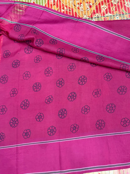 Kanchipattu with penkalamkari saree