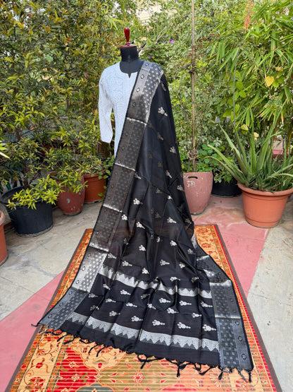 Venkatagiri pure silk dupatta