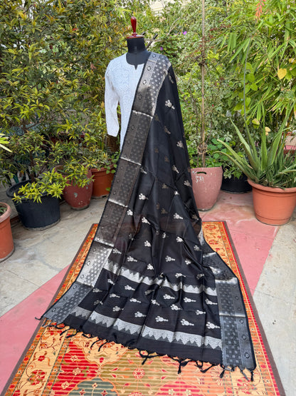 Venkatagiri pure silk dupatta