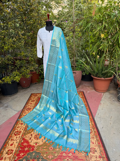 Venkatagiri pure silk dupatta