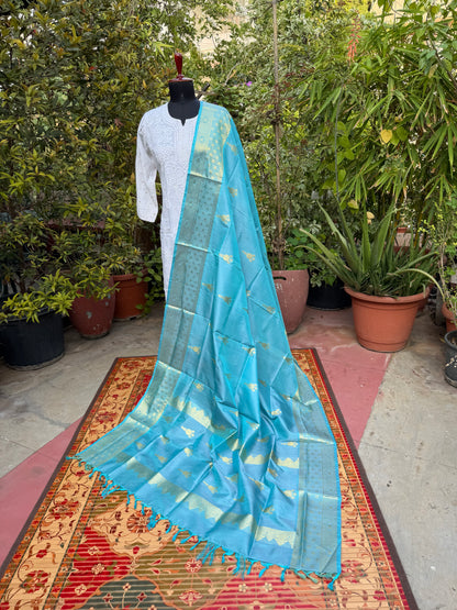Venkatagiri pure silk dupatta