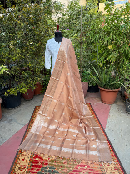 Venkatagiri pure silk dupatta