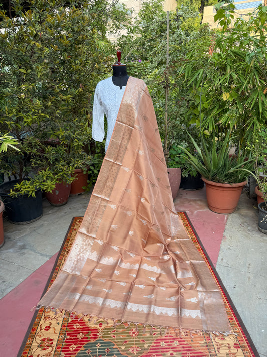 Venkatagiri pure silk dupatta