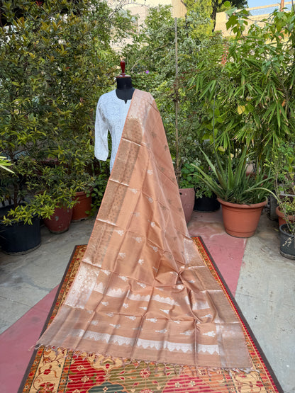 Venkatagiri pure silk dupatta