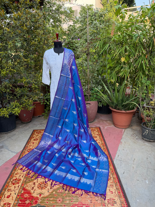 Venkatagiri pure silk dupatta