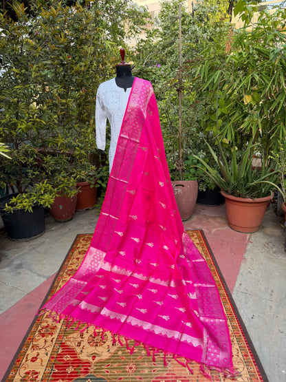 Venkatagiri pure silk dupatta