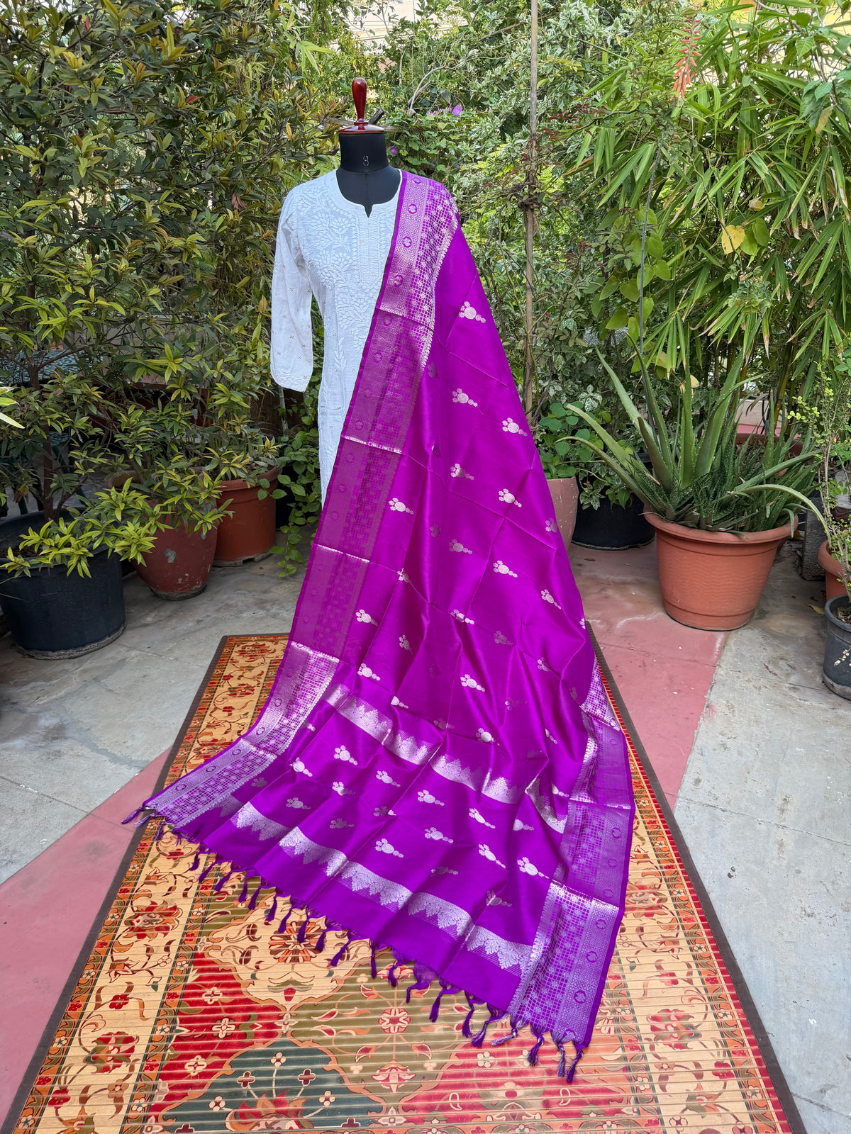 Venkatagiri pure silk dupatta