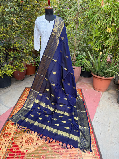 Venkatagiri pure silk dupatta