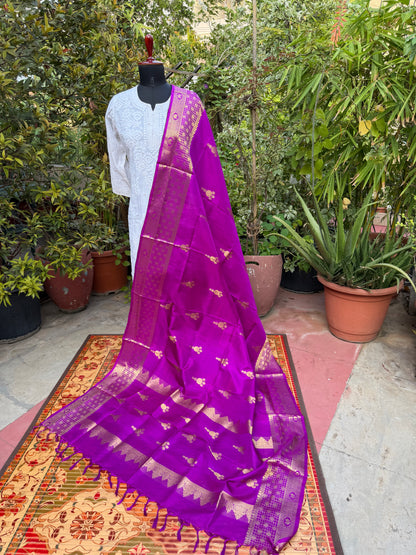Venkatagiri pure silk dupatta