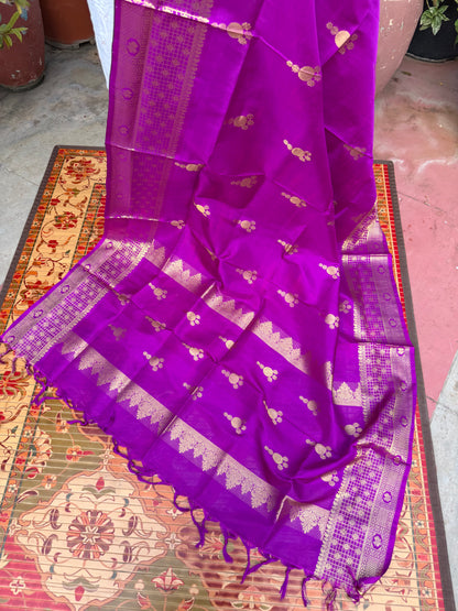 Venkatagiri pure silk dupatta