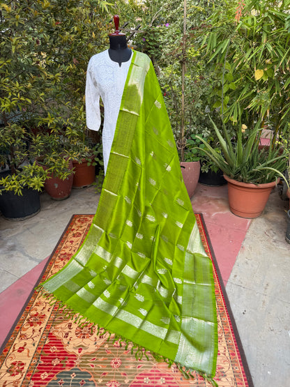 Venkatagiri pure silk dupatta