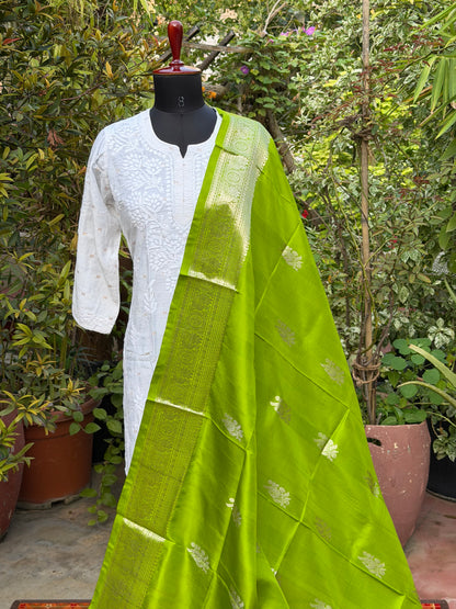 Venkatagiri pure silk dupatta