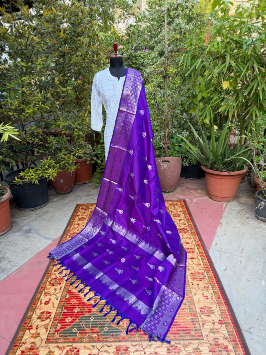 Venkatagiri pure silk dupatta
