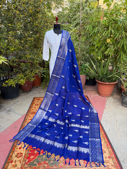 Venkatagiri pure silk dupatta
