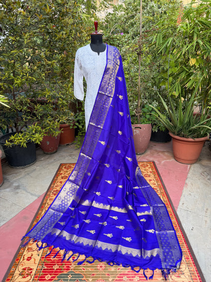 Venkatagiri pure silk dupatta