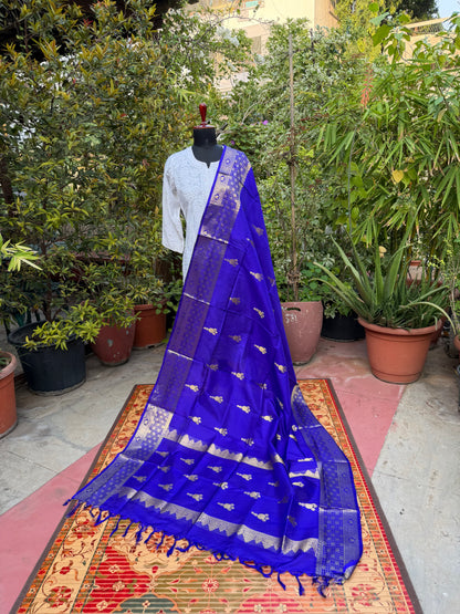 Venkatagiri pure silk dupatta