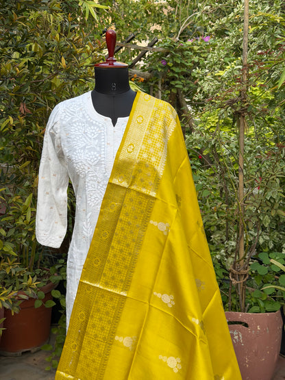 Venkatagiri pure silk dupatta
