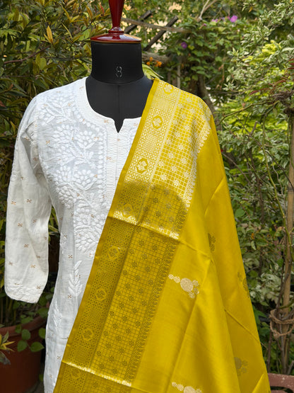 Venkatagiri pure silk dupatta