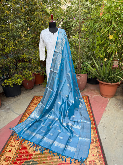 Venkatagiri pure silk dupatta