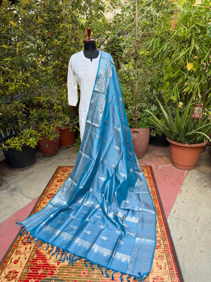 Venkatagiri pure silk dupatta