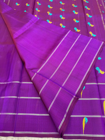 Venkatagiri pure silk saree