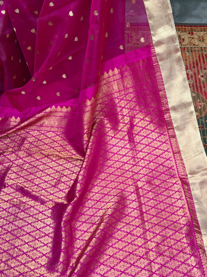 Fusion of Chanderi Silk Saree